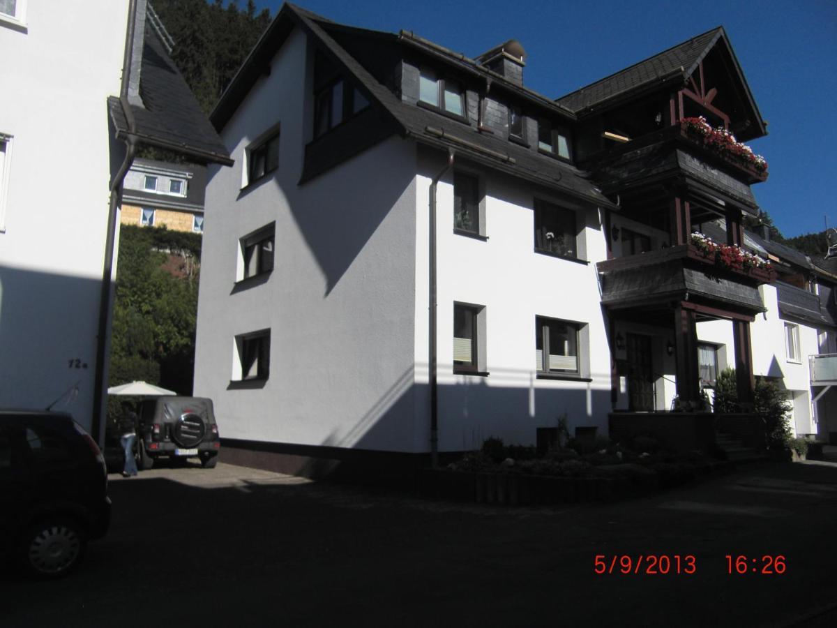 Ferienwohnung Ortsmitte-Willingen Willingen  Buitenkant foto